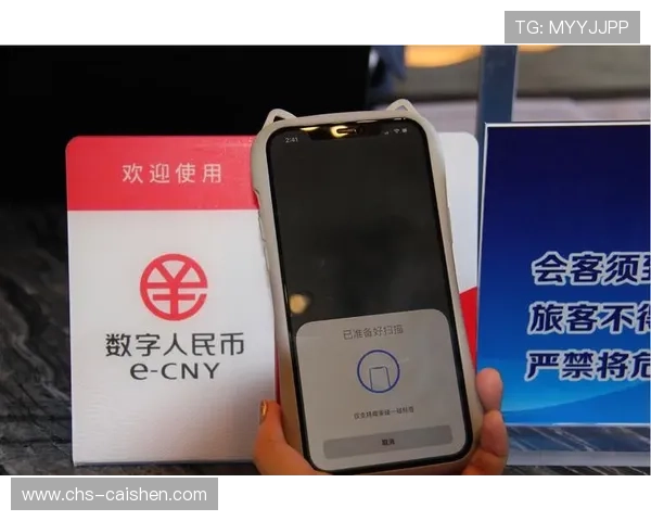 必赢手机官网支付方式多样化，满足不同用户的多样化需求